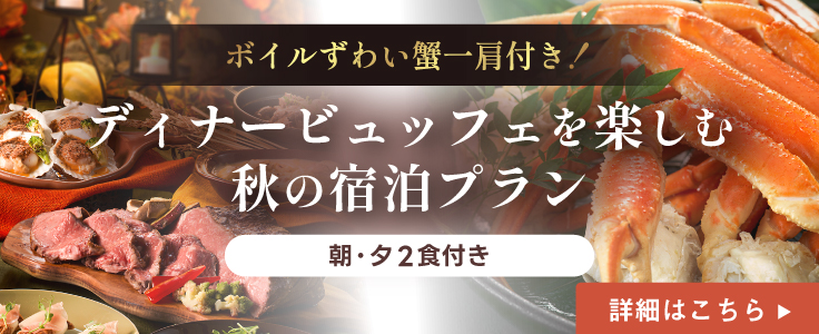 あわてんぼうのサンタクロースプラン 詳細はこちら